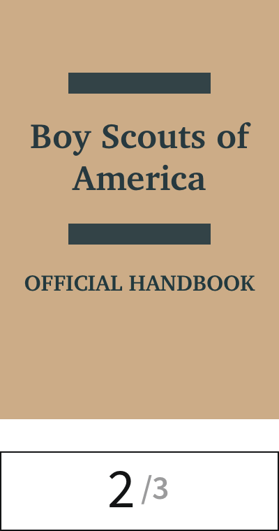 22 scouts